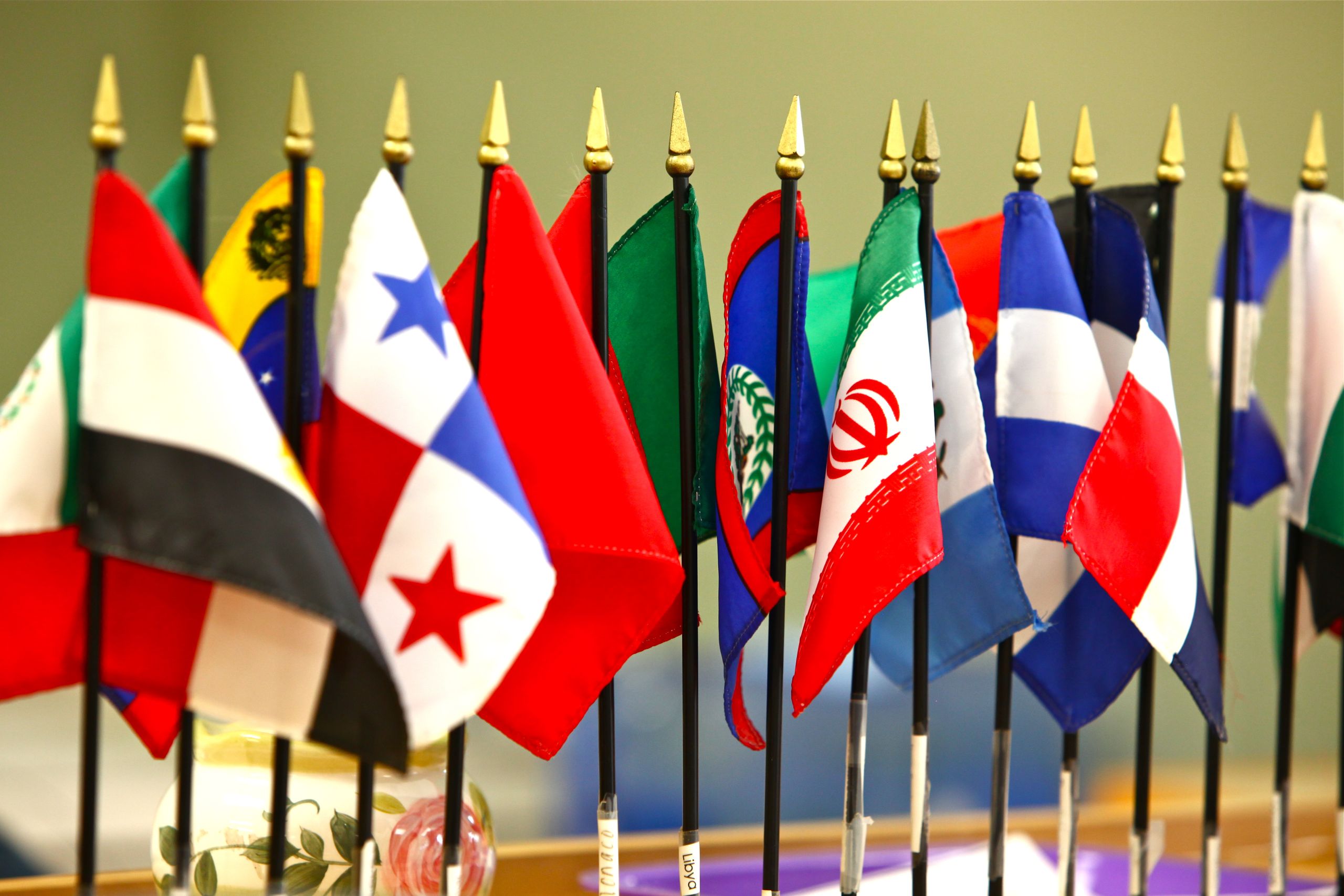 Global Flags