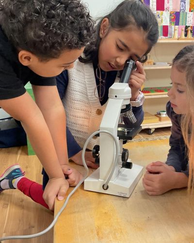 Elementary students during a science discovery using a microscope